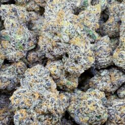 Cherry Sours "Top Shelf Indoor"