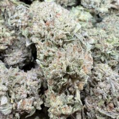 Bananas n Cream "Greenhouse"