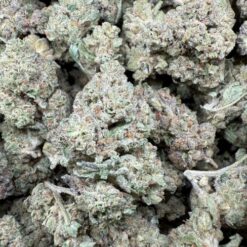 Apples n Bananas "Greenhouse"