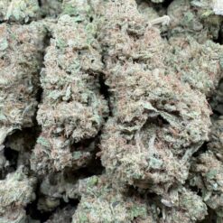 Purple Tangie "Living Soil"