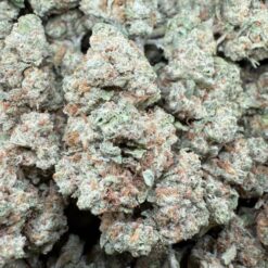 Pineapple Juice "Living Soil"