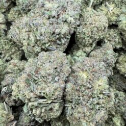 Gelato 41 "GreenHouse"