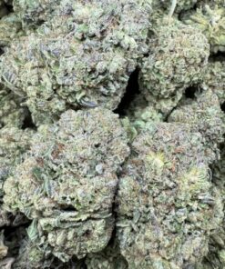 Gelato 41 "GreenHouse"