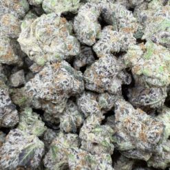 Fight Club "Top Shelf Indoor Smalls"