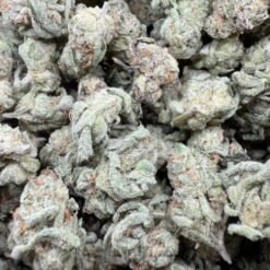 Cheetah Piss "Top Shelf Indoor Smalls"
