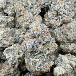 Georgia Pie "Top Shelf Indoor" - 7gm