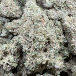 Humboldt Honey x Terple "Living Soil" by The Real Ridge Boys