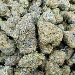 Rainbow Zkittlez "Premium Indoor"