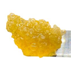 City Terps "1g Live Resin" - Purple People Eater