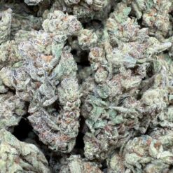 Cherry Runtz "Greenhouse"