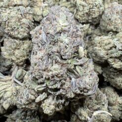 Blue Cookies "Greenhouse"