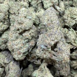 Zookies "Greenhouse"