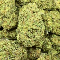 Banana OG "Greenhouse"