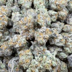 Pit Viper's "Top Shelf Indoor Smalls"