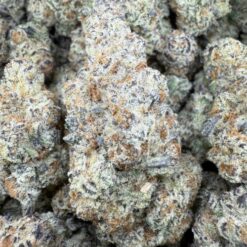 Zero G "Top Shelf Indoor"