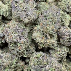 Crash Dummiez "Greenhouse"