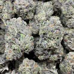 Cherry Gas "Greenhouse"