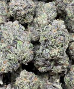 Cherry Gas "Greenhouse"