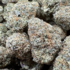 Nerdz "Premium Indoor"