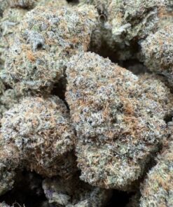 Nerdz "Premium Indoor"