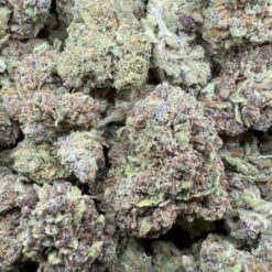 Ultra Violet "Green House Smalls/Mediums"