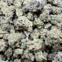 Black Gelato "Green House Smalls"