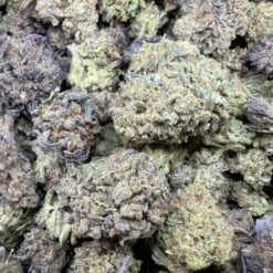 Banana Jealousy "Greenhouse Mediums/Smalls"
