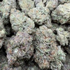 Mochi Runtz "Premium Greenhouse"