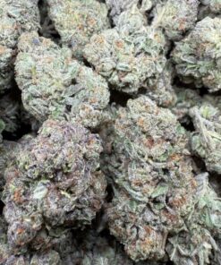 Mochi Runtz "Premium Greenhouse"