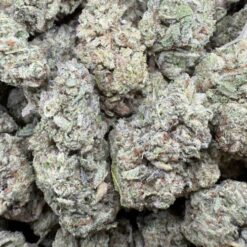 Platinum Cookies "Top Shelf Greenhouse"