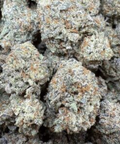 Master Kush "Indoor Mixed Light"