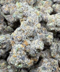 Payton Piss "Top Shelf Indoor" by ClayBourn Co