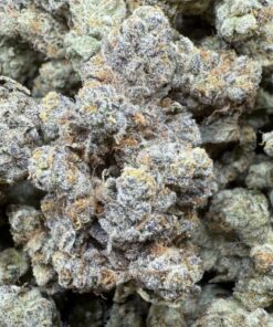 Burnt Rubber "Top Shelf Indoor" by Los Exotics