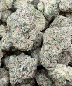 Zkittlez "Premium Indoor" by Seed Junky
