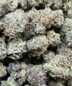 Sherb Bx1 x Jealousy "Premium Organic Indoor Smalls"