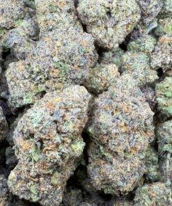Biscotti x LCG "Premium Organic Indoor"