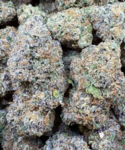 Strawberry Gasoline "Premium Organic Indoor"
