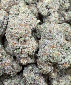 Grand Daddy Purple "Top Shelf Greenhouse"
