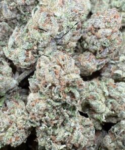 Platinum Runtz "Top Shelf Greenhouse"