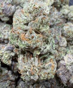 Gelato 45 "Top Shelf Greenhouse"