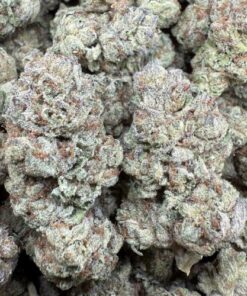 Rainbow Road "Top Shelf Greenhouse"