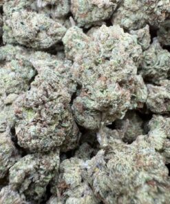 Super Candy "Premium Greenhouse"