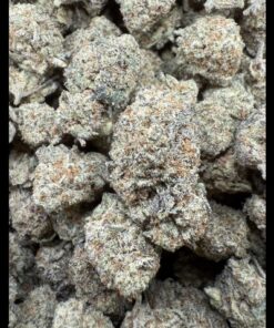 Oreo Cookies "Indoor Mid Quality"