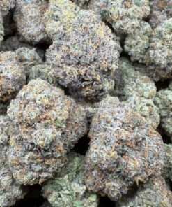 Rainbow Jelly "Top Shelf Indoor By Prophet Brands"