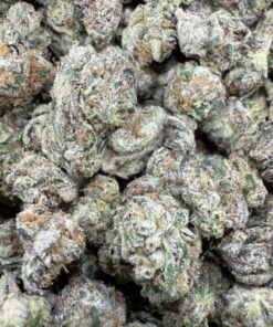 White Cherry Gelato "Premium Indoor SMALLS By LA Kush"
