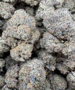 Cake Crasher "Mid Range Indoor Mixed Light"