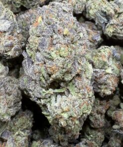 Space Runtz "Premium Greenhouse"