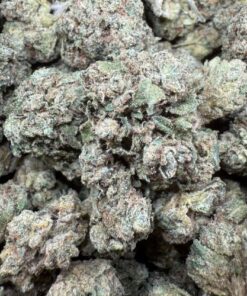 Lemon Cherry Zkittlez "Premium Greenhouse"