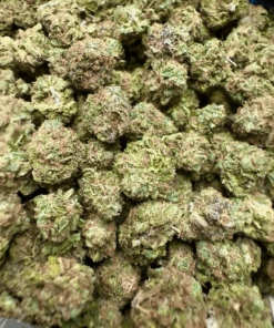 Skittles "Indoor Smalls by Joses Organics"