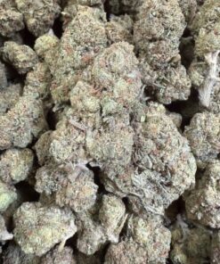 Lemon Cherry Gelato "Greenhouse Mids"